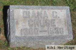 Diana C Cruse