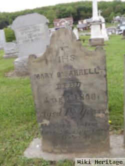 Mary O'farrel