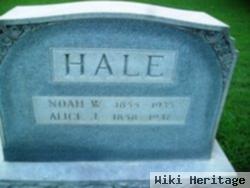 Alice Jane Steele Hale
