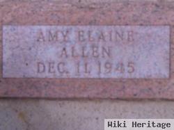 Amy Elaine Allen