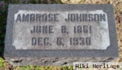 Ambrose L Johnson