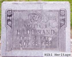 Amelia B Numrich Hildebrand