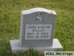 John Roscoe Wallin