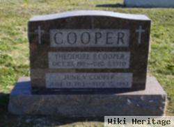 Theodore F Cooper