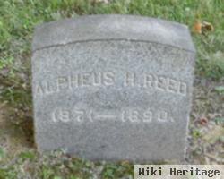 Alpheus H Reed