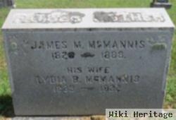 James M Mcmannis