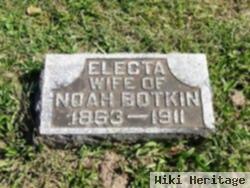 Electa Ann Botkin