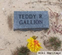 Teddy R. Gallion