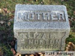 Eliza E. Norton