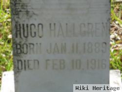 Hugo Hallgren