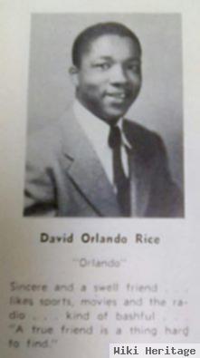 David Orlando Rice