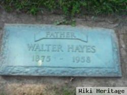 Walter Hayes