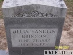 Delia Sandlin Brinson