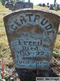 Gertrude Freed