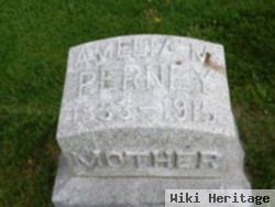 Amelia M Perney