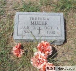 Theresia Pauler Muehr