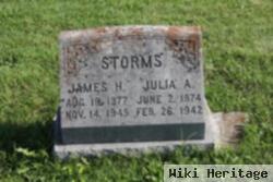 James Harvey Storms