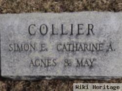 Catharine Agnes Burke Collier