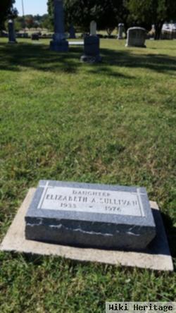 Elizabeth A Sullivan