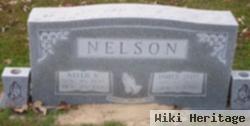 Nellie V Rayborn Nelson