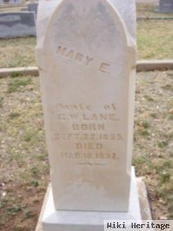 Mary E. Lane