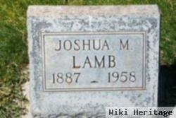 Joshua M Lamb