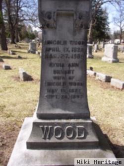 Lincoln Wood