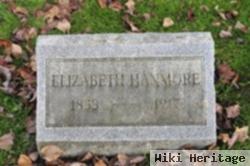 Elizabeth Williams Hanmore