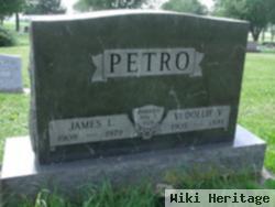 James L Petro