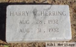 Harry Wayne Herring