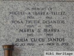 Julia Cu Cu Santos