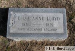 Eliza Anne Lloyd