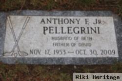 Anthony F "tony" Pellegrini