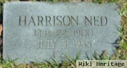 Harrison Ned