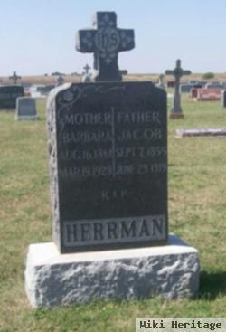 Jacob Herrman, Jr