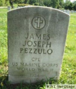 James J Pezzulo