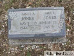 Paul L. Jones