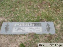 Robert E. Sanderson