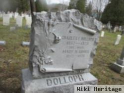 Mary Hemenway Kidder Dolloph