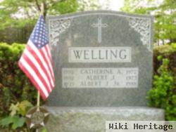 Catherine A Welling