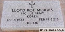 Dr Lloyd Roe Morris