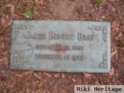 James Ernest Bray