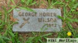 George Homer Wilson