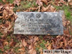 Carl A. Nelson