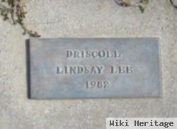Lindsay Lee Driscoll