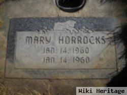 Mary Horrocks