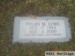 Dylan M Lowe