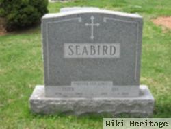 Peter Seabird