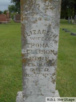 Elizabeth Corp Ellison