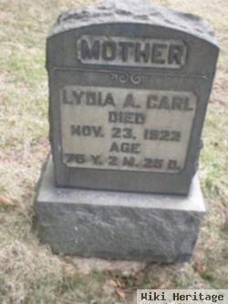 Lydia Ann Weaver Steiger Carl